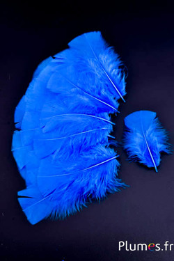 Dinde - 6-8 cm - turquoise